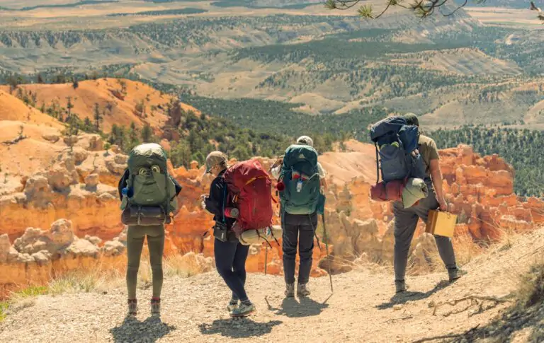 What to Do If You See a Snake While Hiking in Arizona