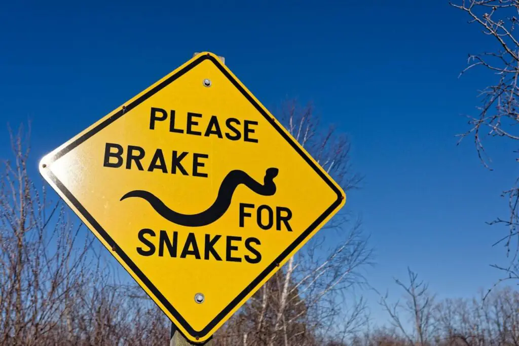 beware rattle snake sign board at desert 