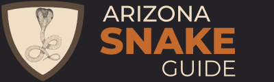 Arizona Snake Guide