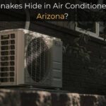 Do Snakes Hide in Air Conditioners in Arizona