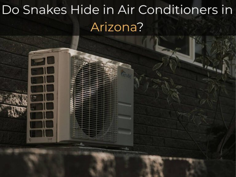 Do Snakes Hide in Air Conditioners in Arizona