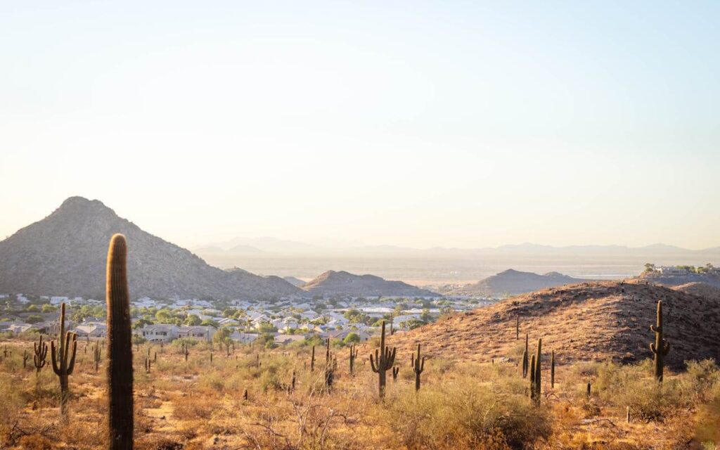 Scottsdale Arizona cactus desert habitat 