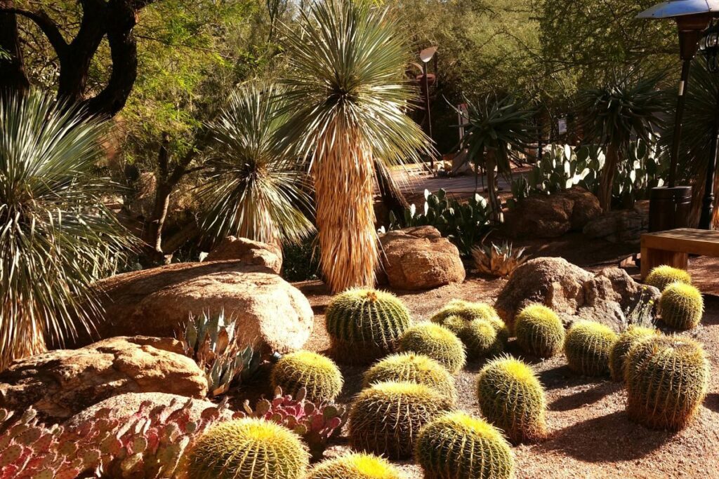 Where Do Snakes Hide Around Homes in Arizona