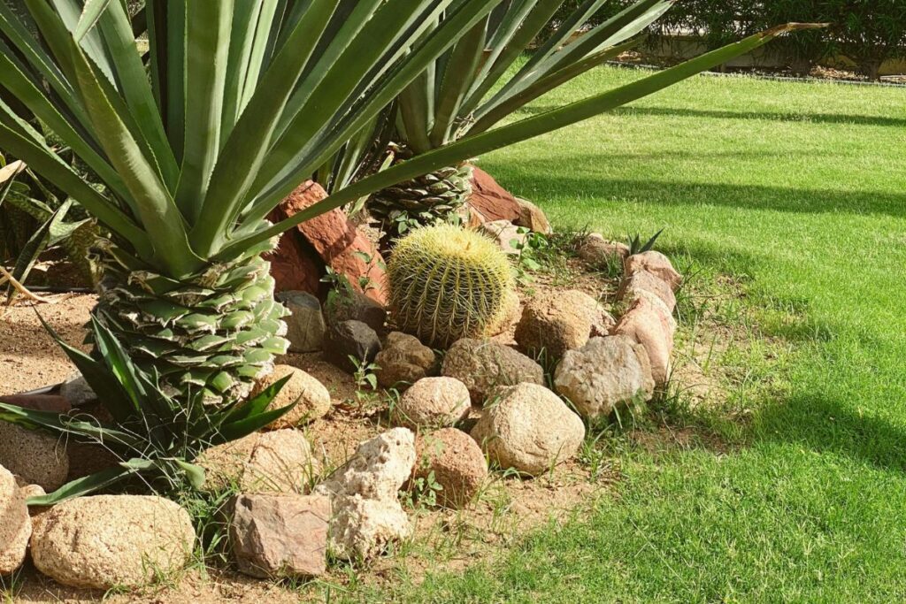 safety first for arizona snakes keep away