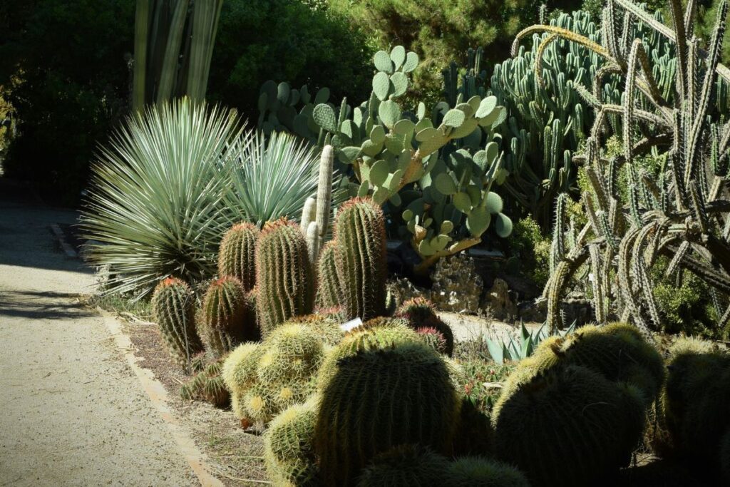 arizona backyard a women with safety boots 5