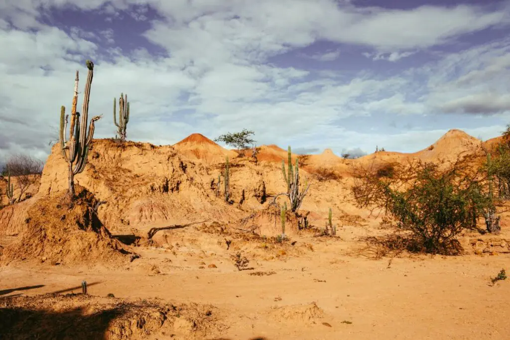 desert in arizona where snakes hide