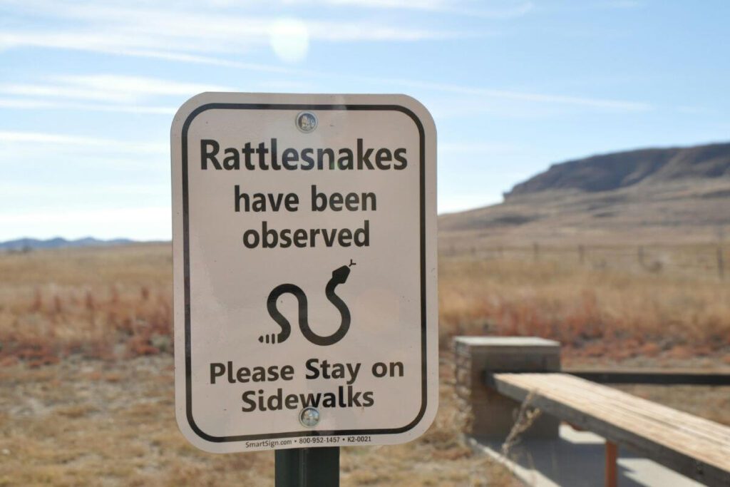 rattlesnakes warning sign board