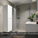 Can Snakes Come Through Plumbing in Arizona?