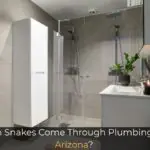 Can Snakes Come Through Plumbing in Arizona?