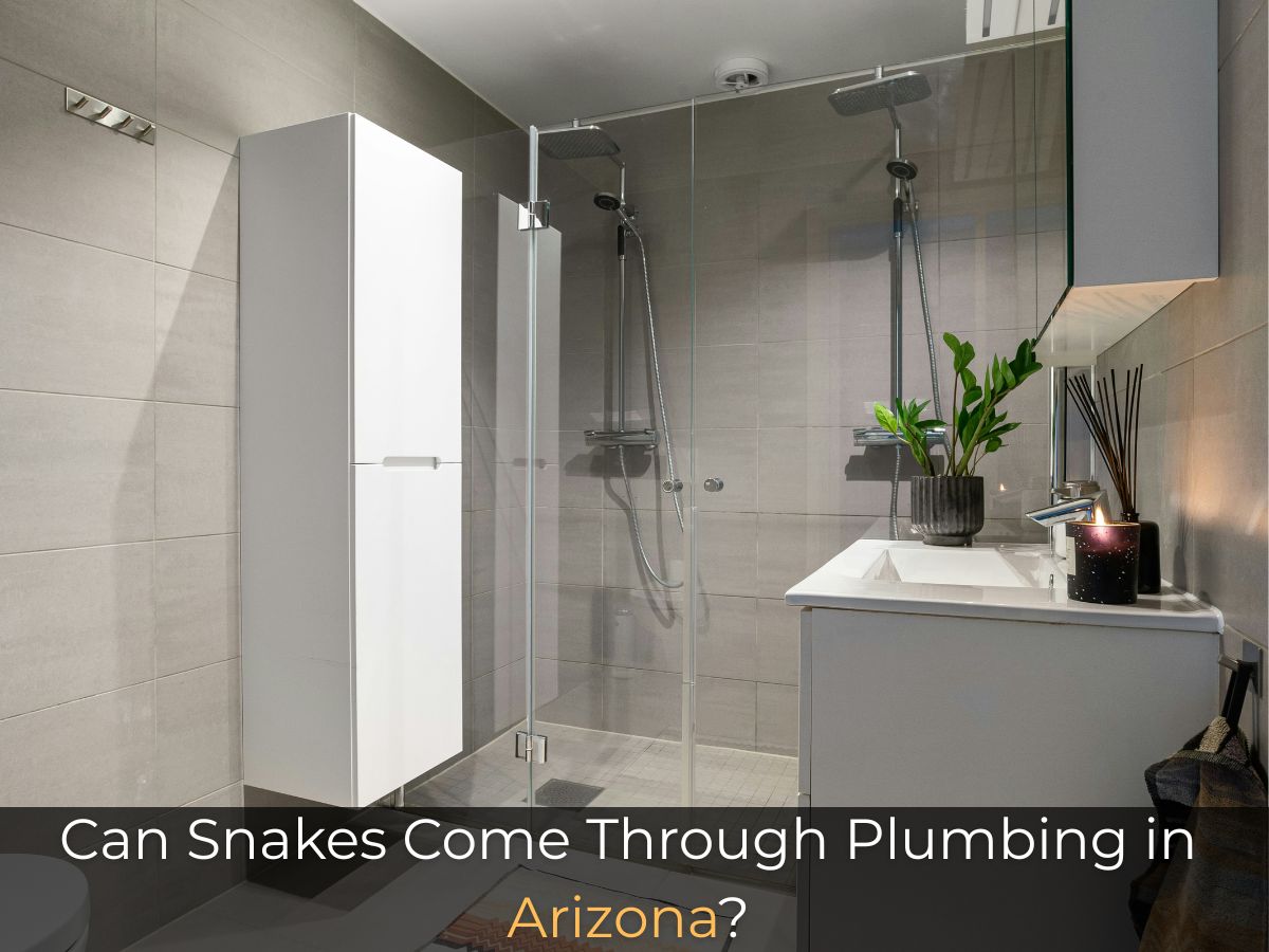 Can Snakes Come Through Plumbing in Arizona?