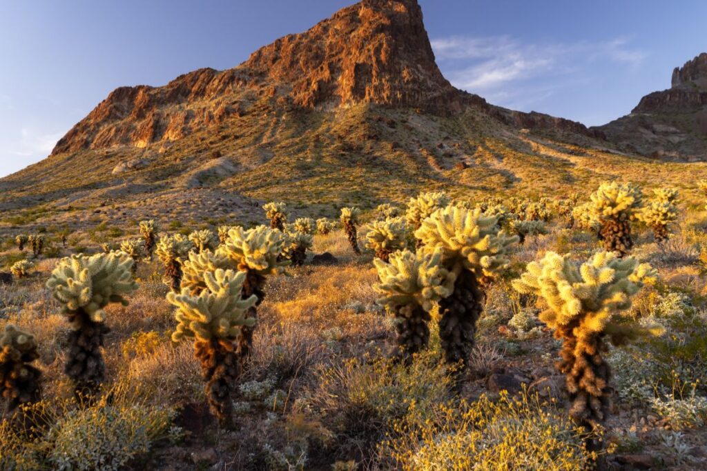 Queen Creek desert mountain
