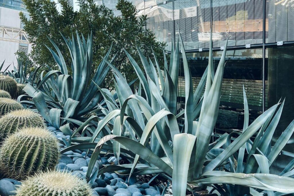 Why Your Yard Feels Like a Safe Place