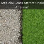 Can Artificial Grass Attract Snakes in Arizona