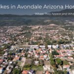 Snakes in Avondale Arizona Homes