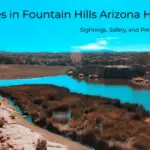 Snakes in Fountain Hills Arizona Homes