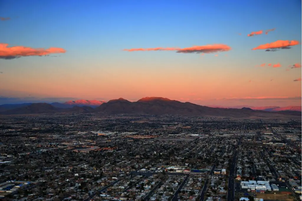 Snakes in Glendale Arizona sunset