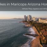 Snakes in Maricopa Arizona Homes