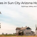 Snakes in Sun City Arizona Homes