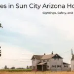 Snakes in Sun City Arizona Homes