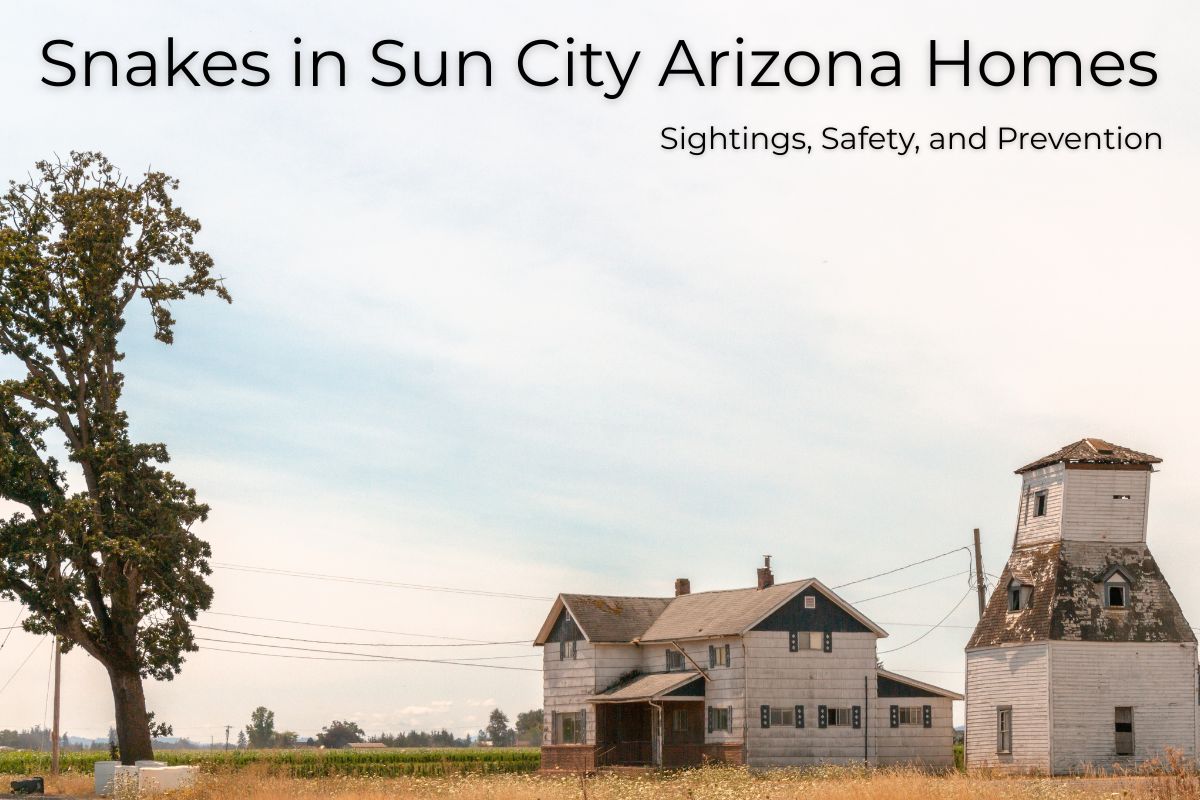 Snakes in Sun City Arizona Homes