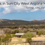 Snakes in Sun City West Arizona Homes