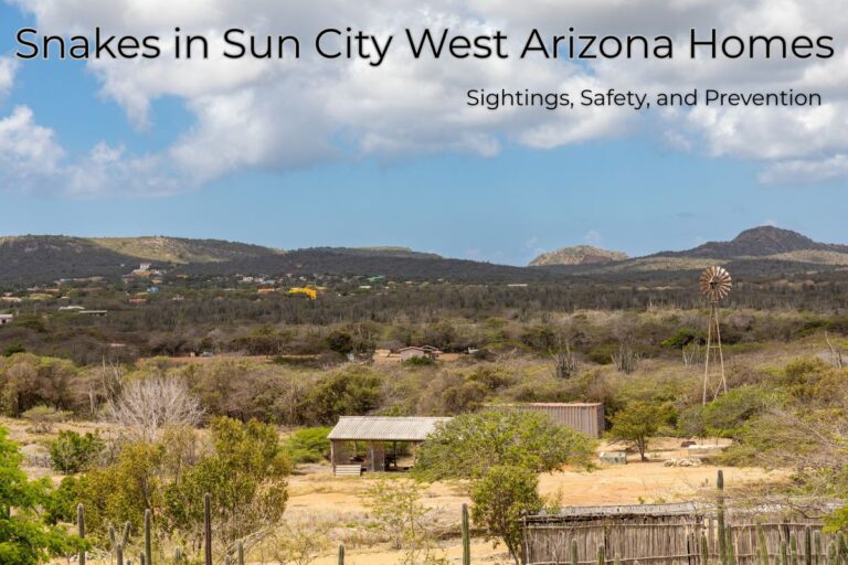 Snakes in Sun City West Arizona Homes