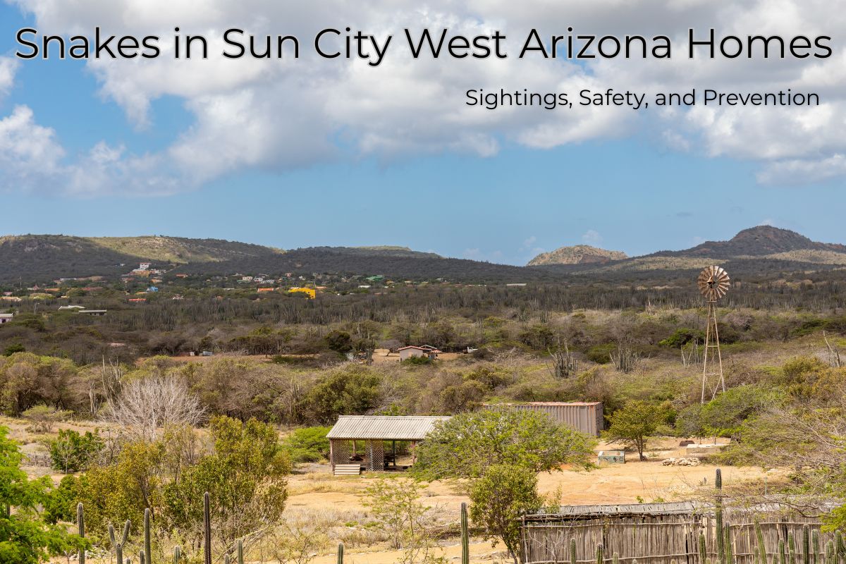 Snakes in Sun City West Arizona Homes