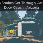 Can Snakes Get Through Garage Door Gaps in Arizona