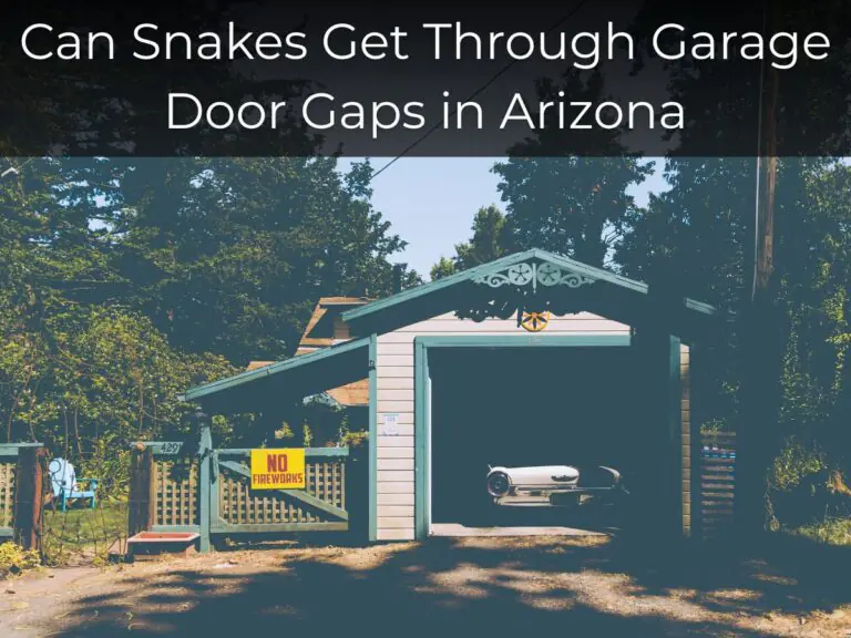 Can Snakes Get Through Garage Door Gaps in Arizona