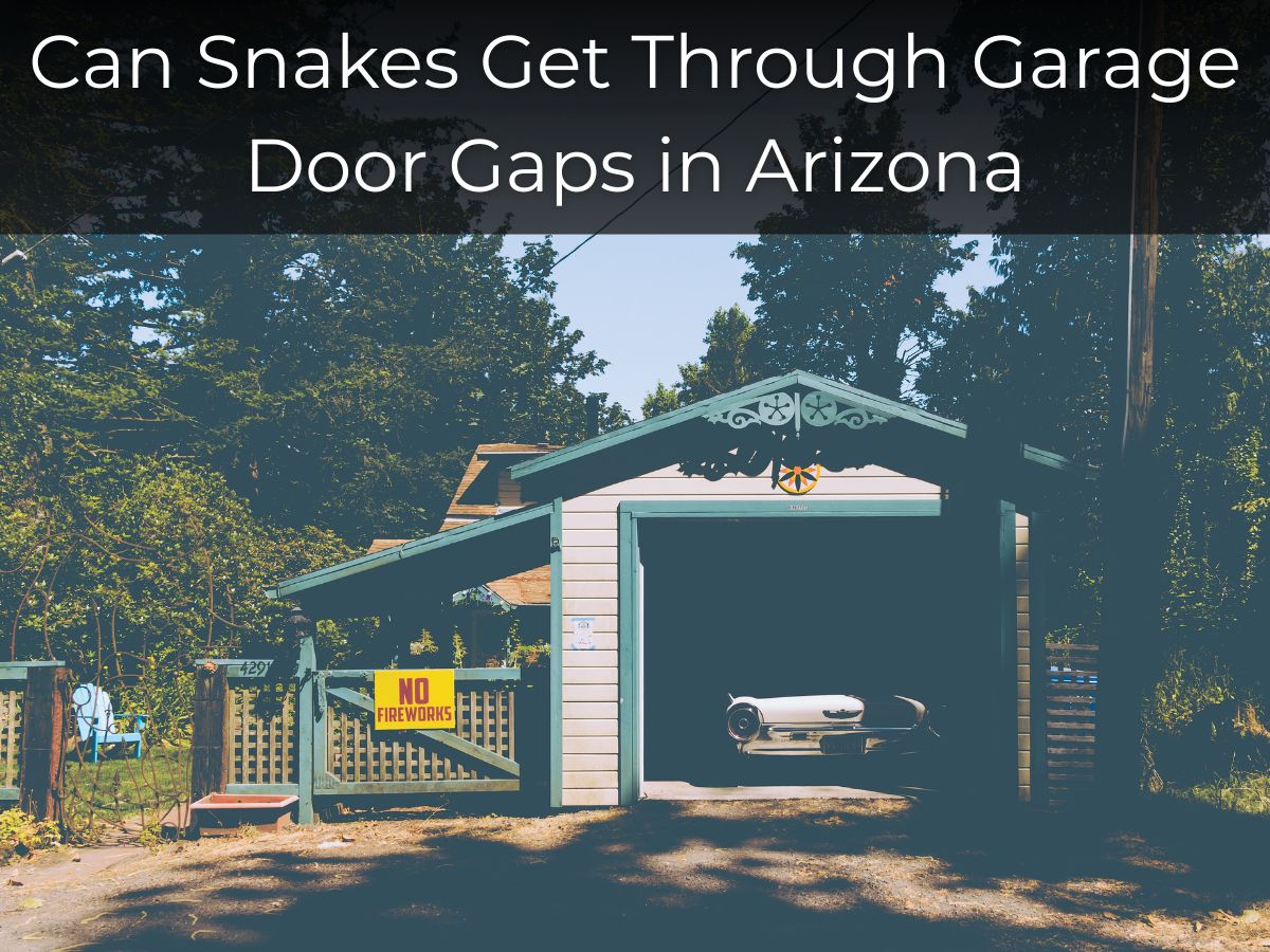 Can Snakes Get Through Garage Door Gaps in Arizona