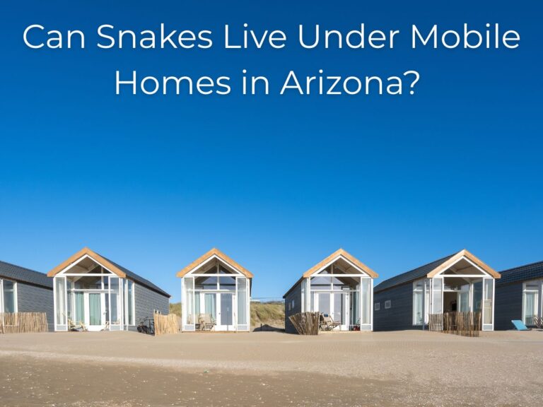 Can Snakes Live Under Mobile Homes in Arizona