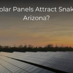 Do Solar Panels Attract Snakes in Arizona