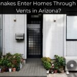 Can Snakes Enter Homes Through Dryer Vents in Arizona