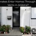 Can Snakes Enter Homes Through Dryer Vents in Arizona