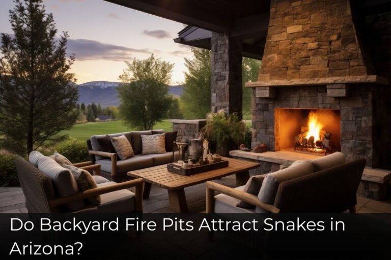 Do Backyard Fire Pits Attract Snakes in Arizona?