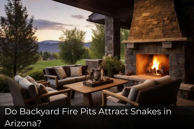 Do Backyard Fire Pits Attract Snakes in Arizona?