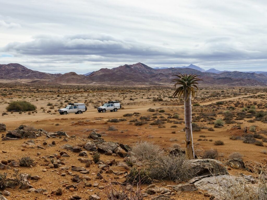 RVs and Campers in Arizona natural desert habitat
