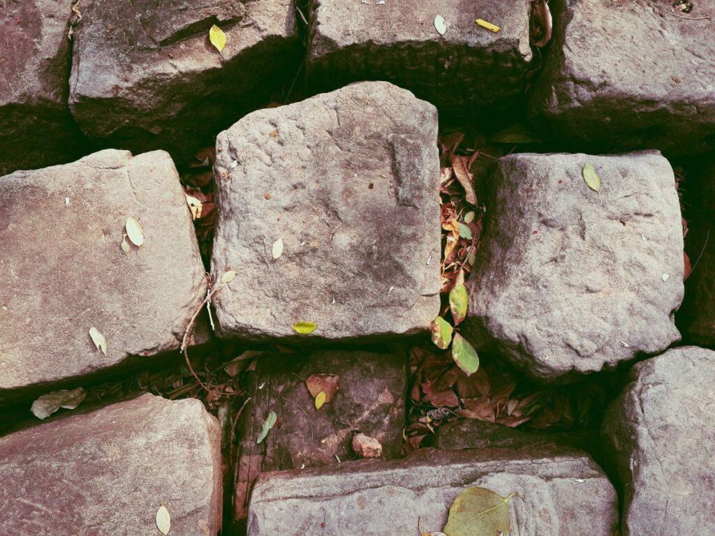 Snakes Hide Under Concrete Slabs