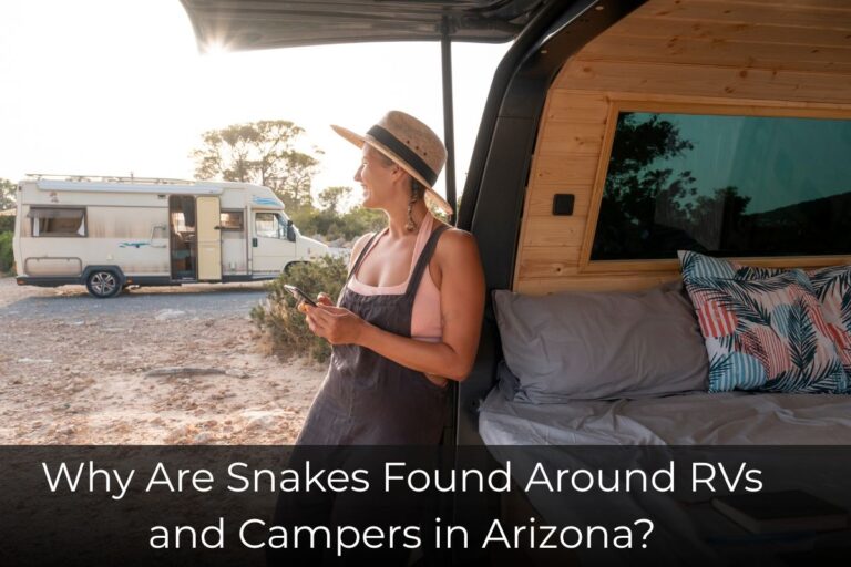 Why Are Snakes Found Around RVs and Campers in Arizona
