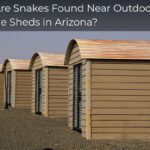 Why Are Snakes Found Near Outdoor Storage Sheds in Arizona?