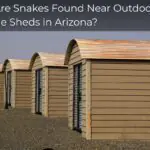 Why Are Snakes Found Near Outdoor Storage Sheds in Arizona?