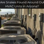 Why Are Snakes Found Around Outdoor HVAC Units in Arizona