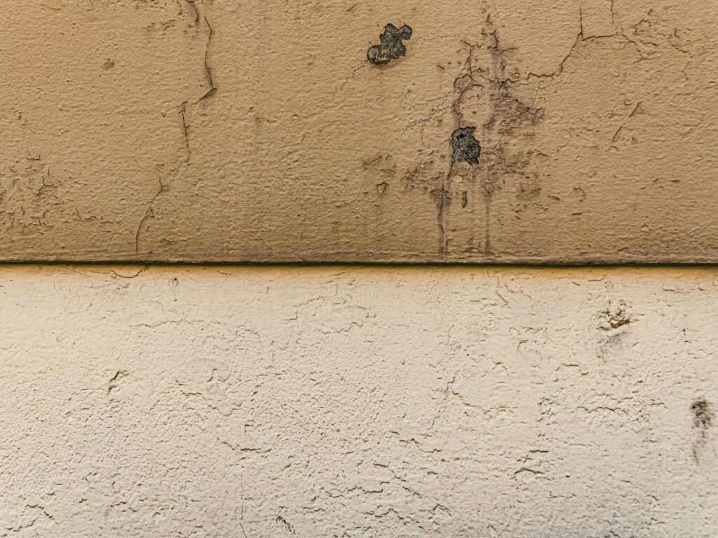 stucco wall to reduce wildlife access around the home.